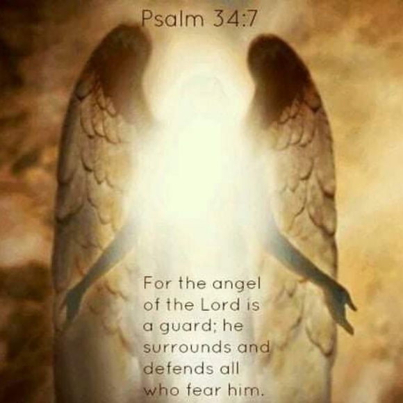 Meet your Posher, NiChole - Picture 6 of 8